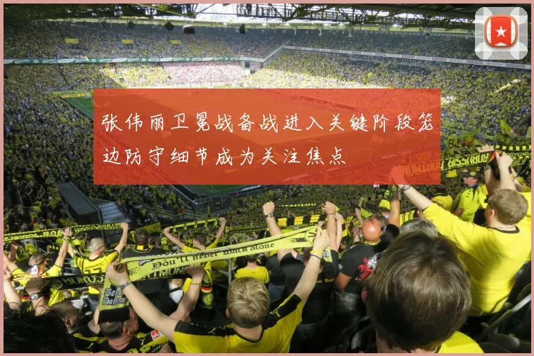 张伟丽卫冕战备战进入关键阶段笼边防守细节成为关注焦点